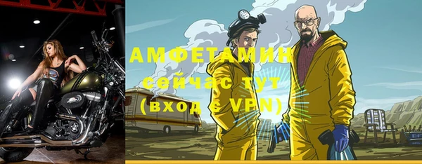 твердый Абаза